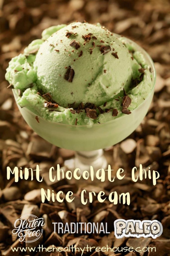 Mint Chocolate Chip Nice Cream Recipe