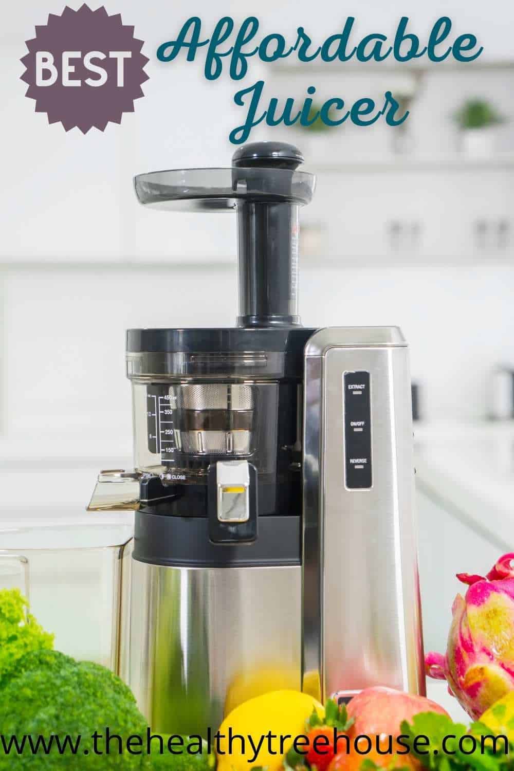 The Best Affordable Juicer in currentyear The Healthy Treehouse