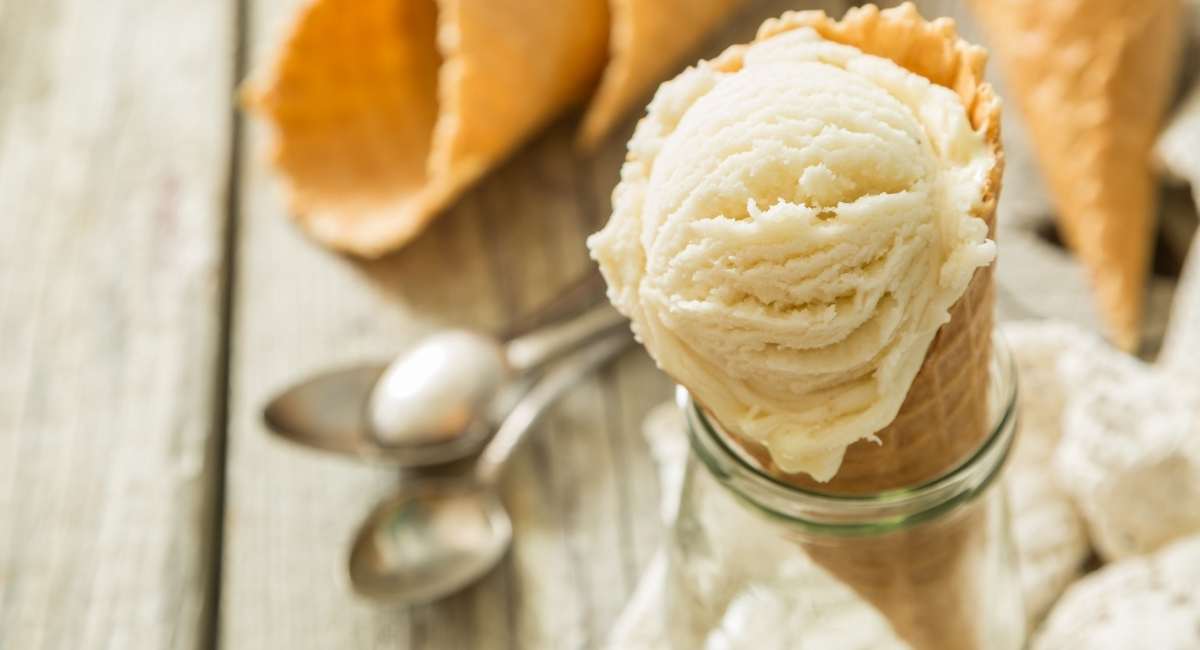 Vegan Vanilla Ice Cream Recipe The Healthy Treehouse